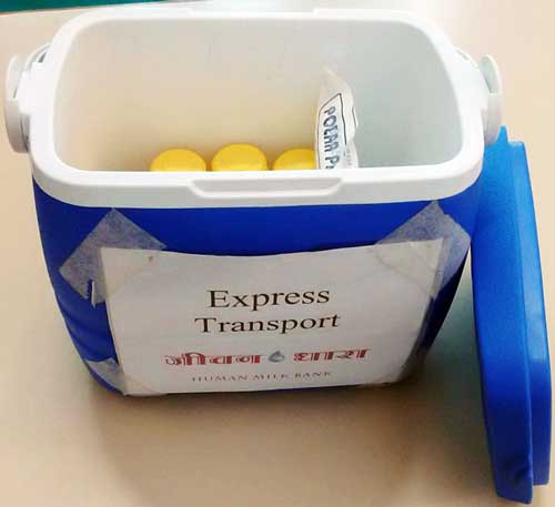 Human milk transport